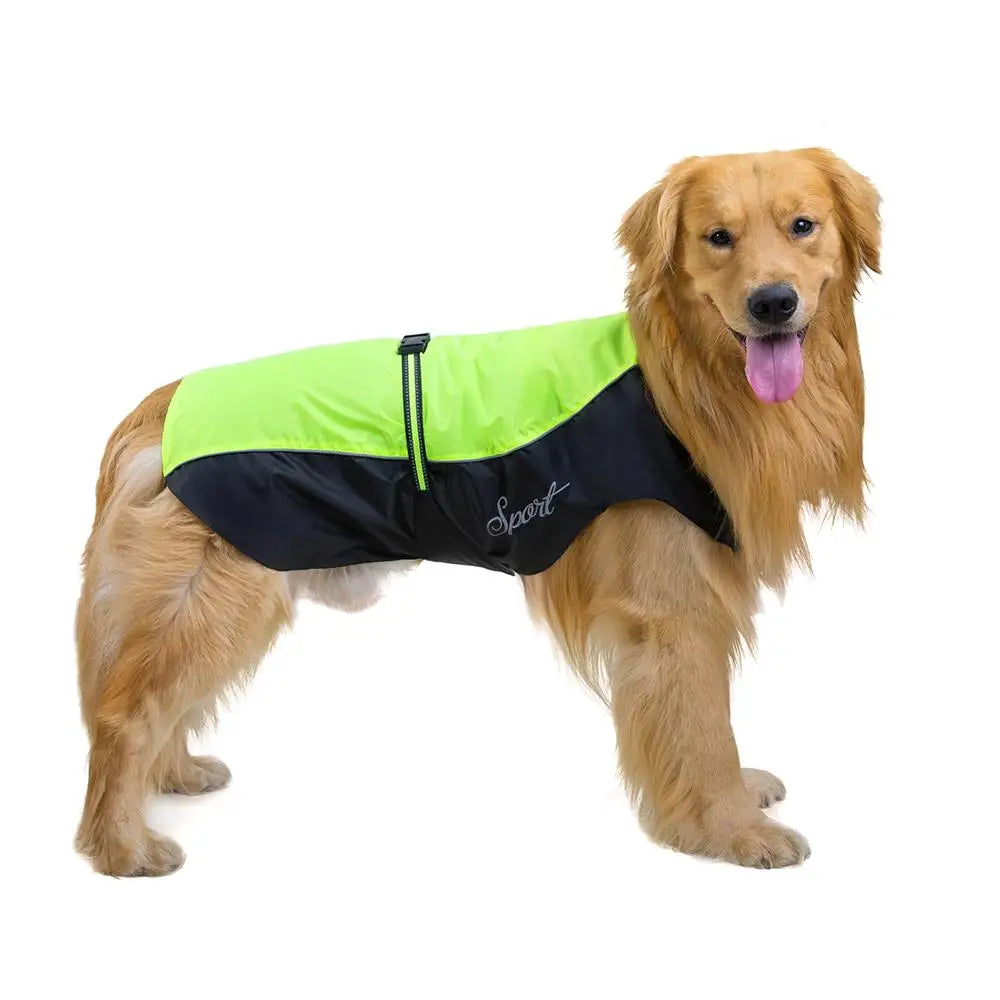 Chubasquero