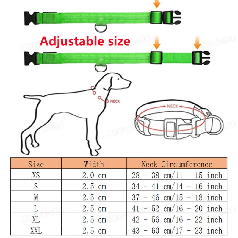 Collar Luminoso
