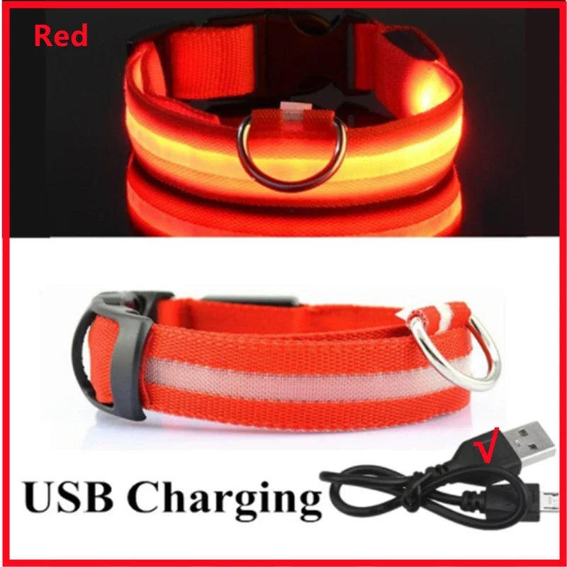 Collar Luminoso
