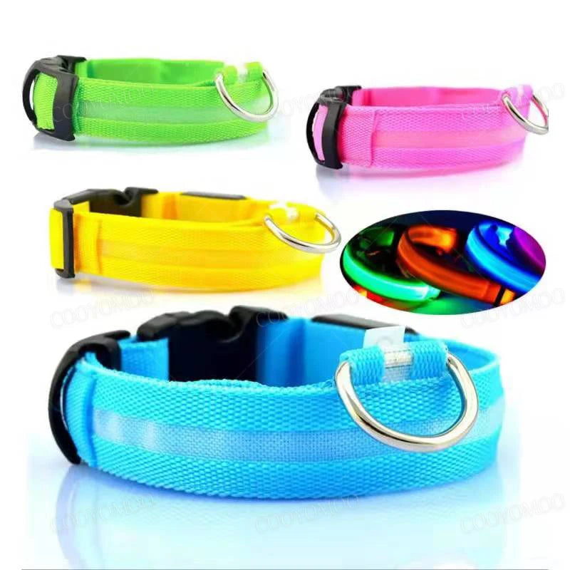 Collar Luminoso