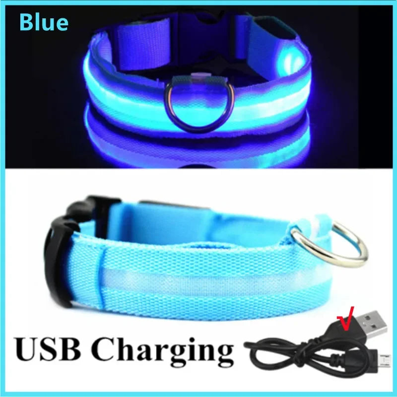 Collar Luminoso