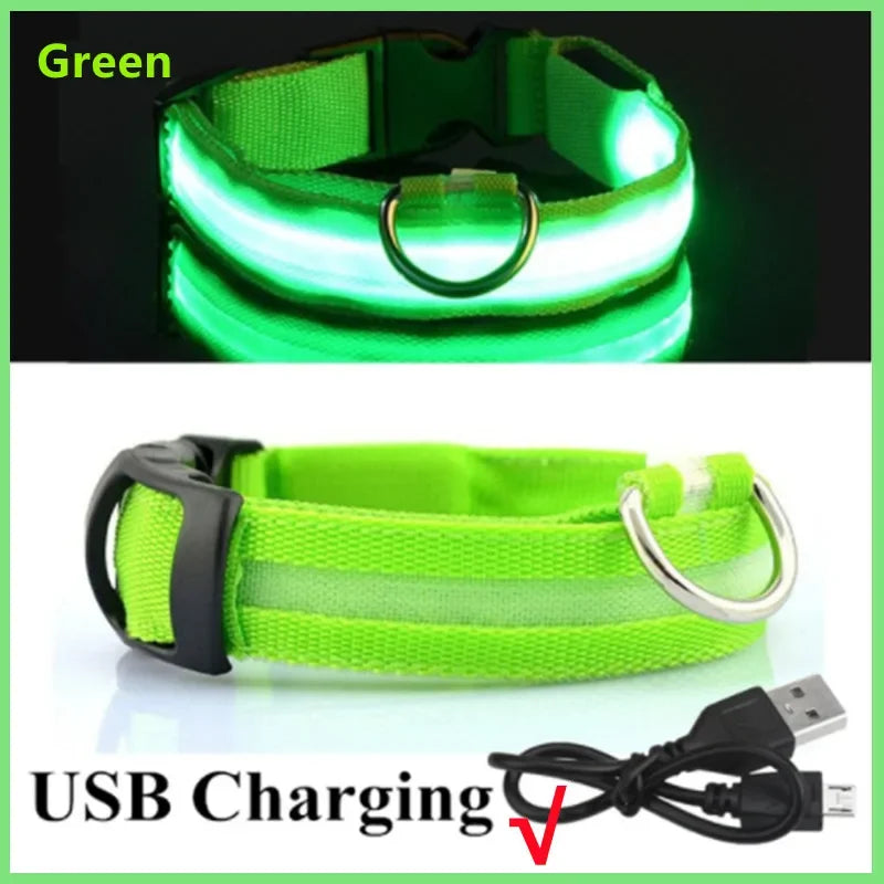 Collar Luminoso