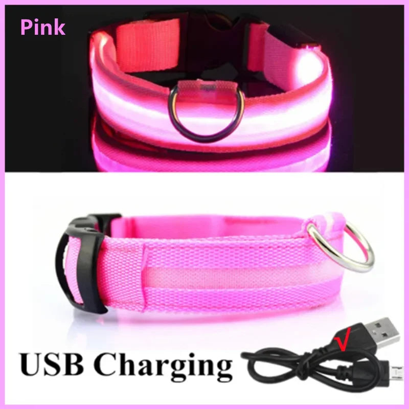 Collar Luminoso