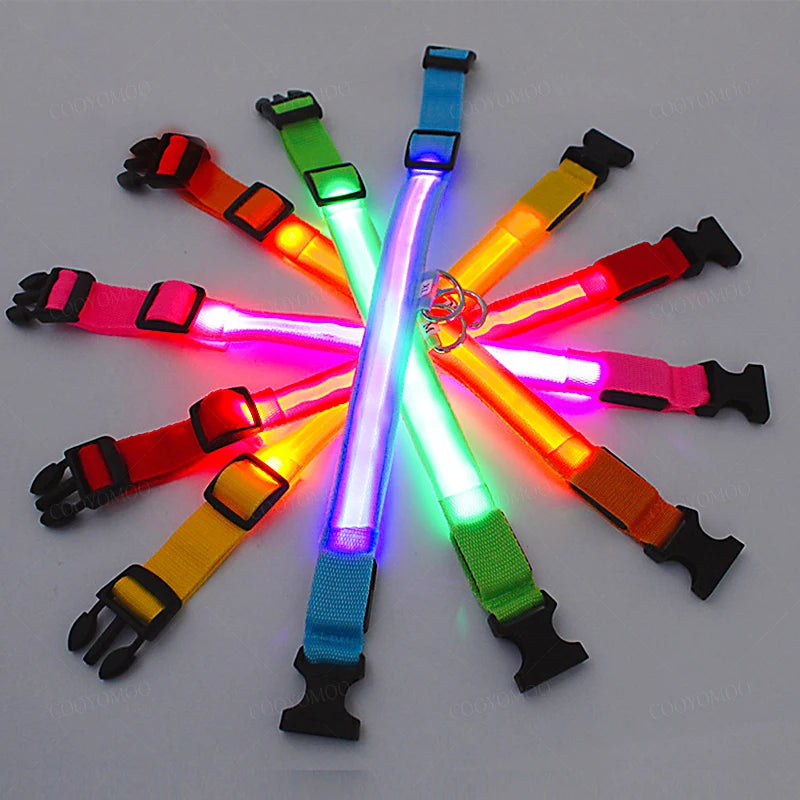 Collar Luminoso