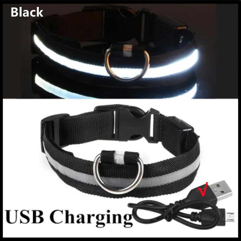 Collar Luminoso