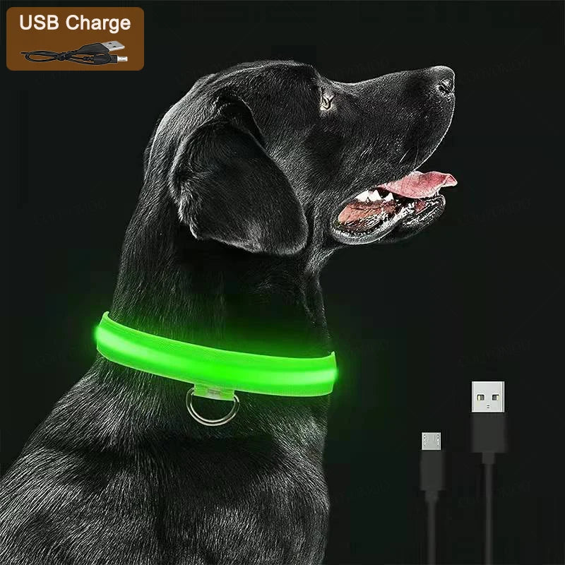 Collar Luminoso