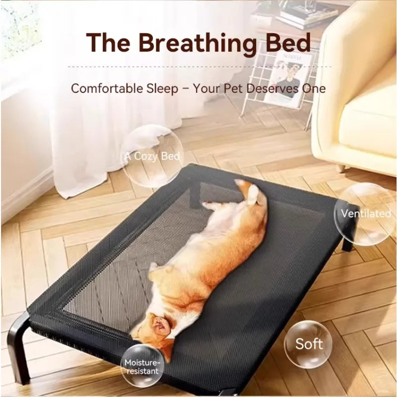 Cama Elastica